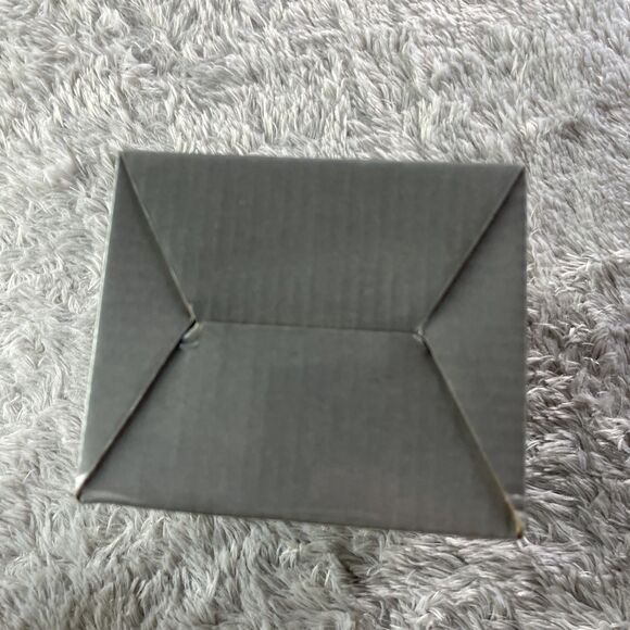 Madison Mallards Bobblehead Protest Maynard Mascot 2012 Northwoods League SGA - Picture 15 of 15